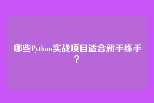 哪些Python实战项目适合新手练手?