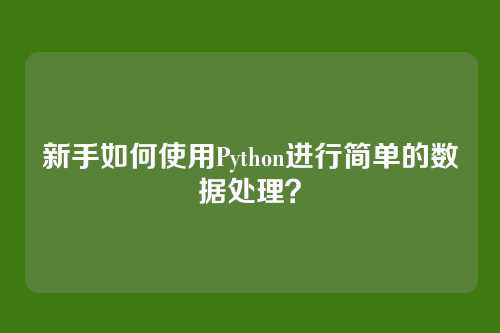 新手如何使用Python进行简单的数据处理?