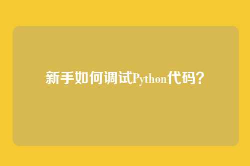 新手如何调试Python代码?