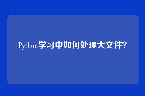 Python学习中如何处理大文件?