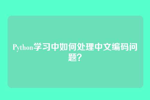 Python学习中如何处理中文编码问题?