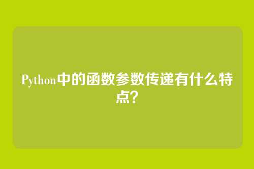 Python中的函数参数传递有什么特点？