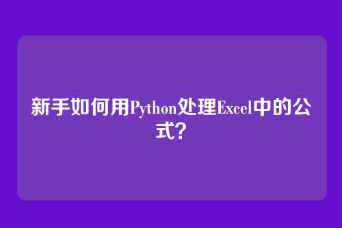 新手如何用Python处理Excel中的公式？