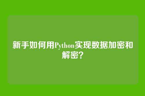 新手如何用Python实现数据加密和解密？