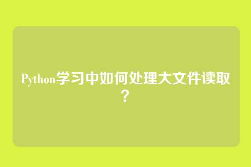 Python学习中如何处理大文件读取？