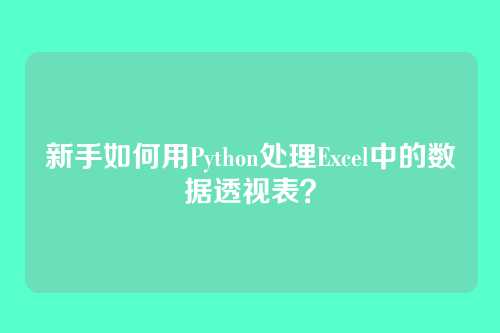 新手如何用Python处理Excel中的数据透视表？
