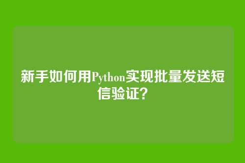 新手如何用Python实现批量发送短信验证？