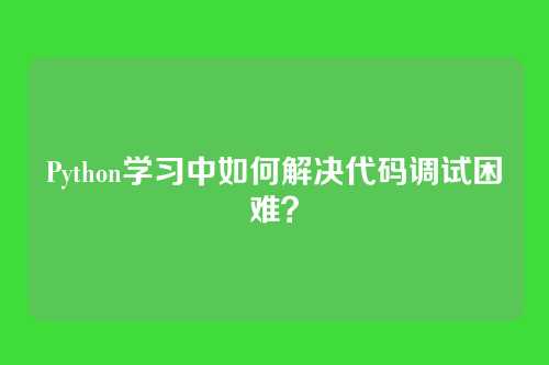 Python学习中如何解决代码调试困难？