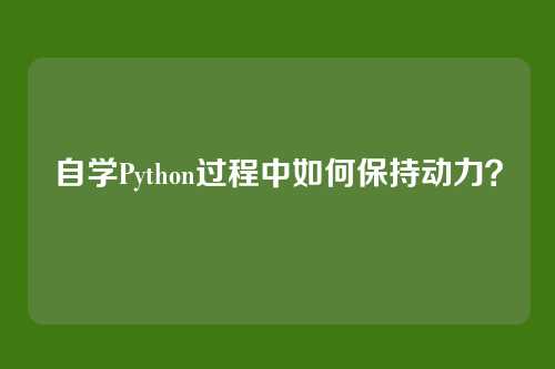 自学Python过程中如何保持动力？