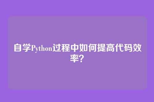 自学Python过程中如何提高代码效率？
