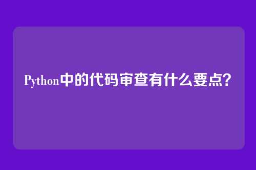 Python中的代码审查有什么要点？