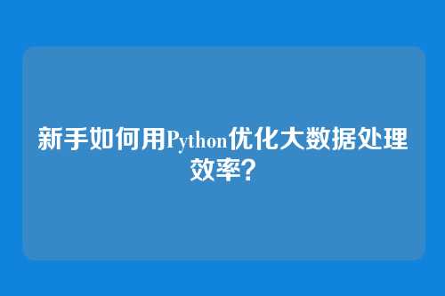 新手如何用Python优化大数据处理效率?