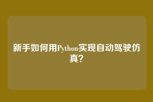 新手如何用Python实现自动驾驶仿真？
