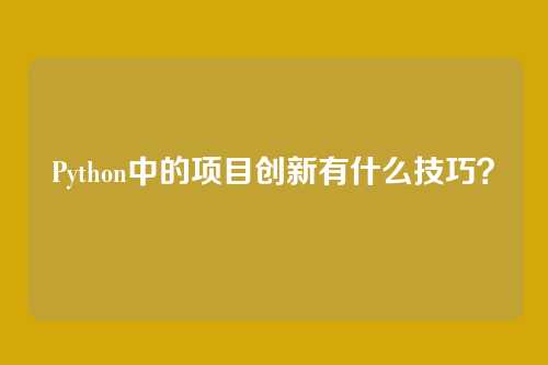 Python中的项目创新有什么技巧？