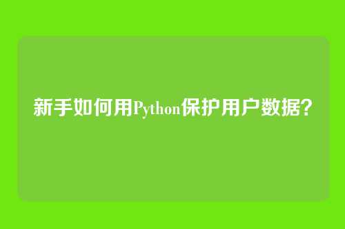 新手如何用Python保护用户数据？