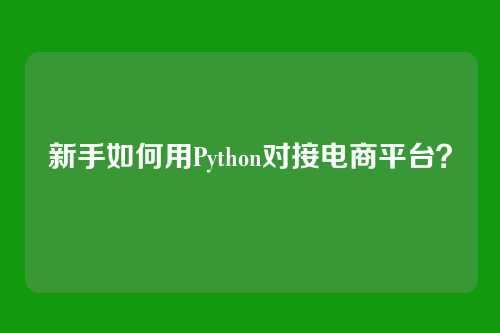 新手如何用Python对接电商平台?