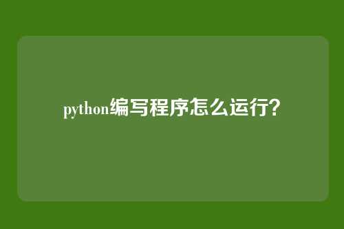python编写程序怎么运行?
