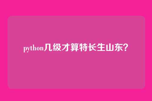 python几级才算特长生山东？